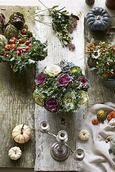 Food Bowls