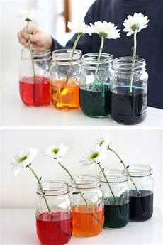 Food Coloring