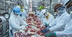 Food Processing Equipment