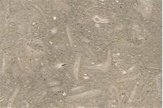 Fossil Travertine Slabs
