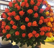 Fresh Cut Anthuriums