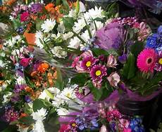 Fresh Cut Flowers