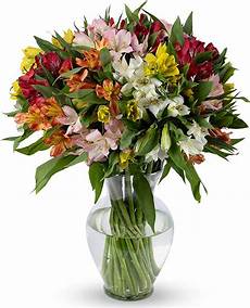 Fresh Cut Lilies