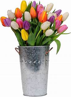 Fresh Cut Tulips