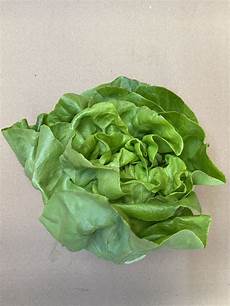 Fresh Vegetables