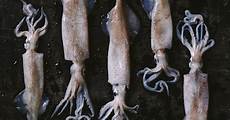 Frozen Seafood