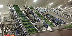 Fruit Processing Machinery
