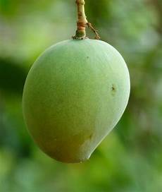 Fruit Ripening Chemicals