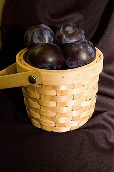 Fruit Ripening