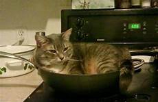 Frying Pans