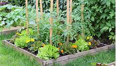 Garden Water Timers