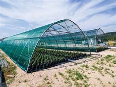 Greenhouse Hoppers