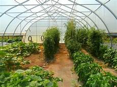 Greenhouse Profiles