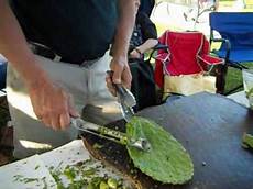 Grilled Cleaner