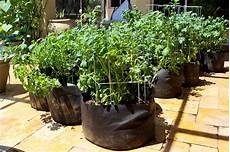 Grow Bags