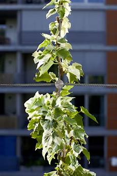 Hanging Systems