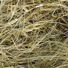 Hemp Fiber