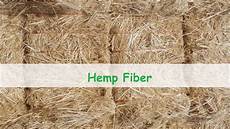 Hemp Fiber