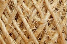 Hemp Fiber