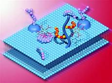 High Purity Reagents