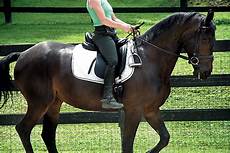 Horse Care Products