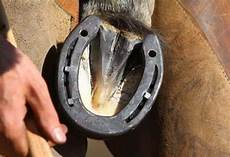 Horse Care Products
