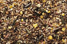 Horse Feed