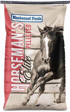 Horse Feed