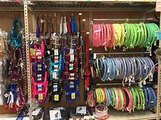 Horse Supplies