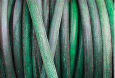 Hose