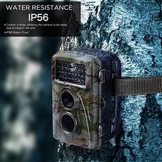 Hunting Cameras