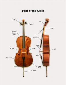 Instrument Parts & Accessories