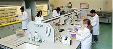 Lab Drying Equipment