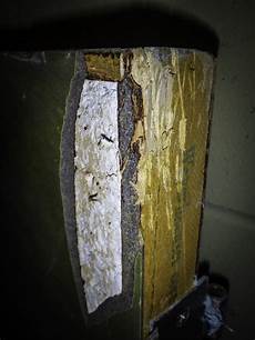 Laminated Door