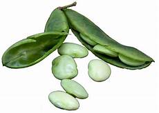 Lima Beans