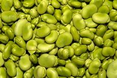 Lima Beans
