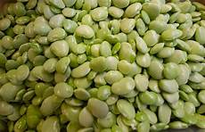 Lima Beans