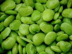 Lima Beans