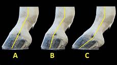 Lining Profiles