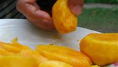 Mango Fruit Ripening