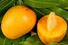 Mango Ripener
