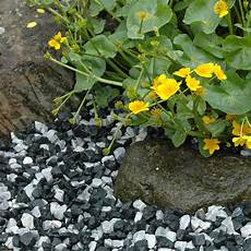 Marble Chippings