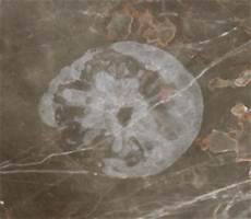 Marble Repair