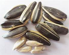 Melon Seeds