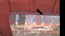 Metal Siding
