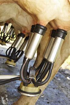 Milking Machines