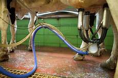 Milking Machines
