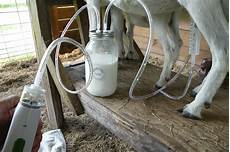 Milking Machines