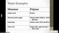 Monomer
