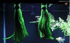 Mop Yarn